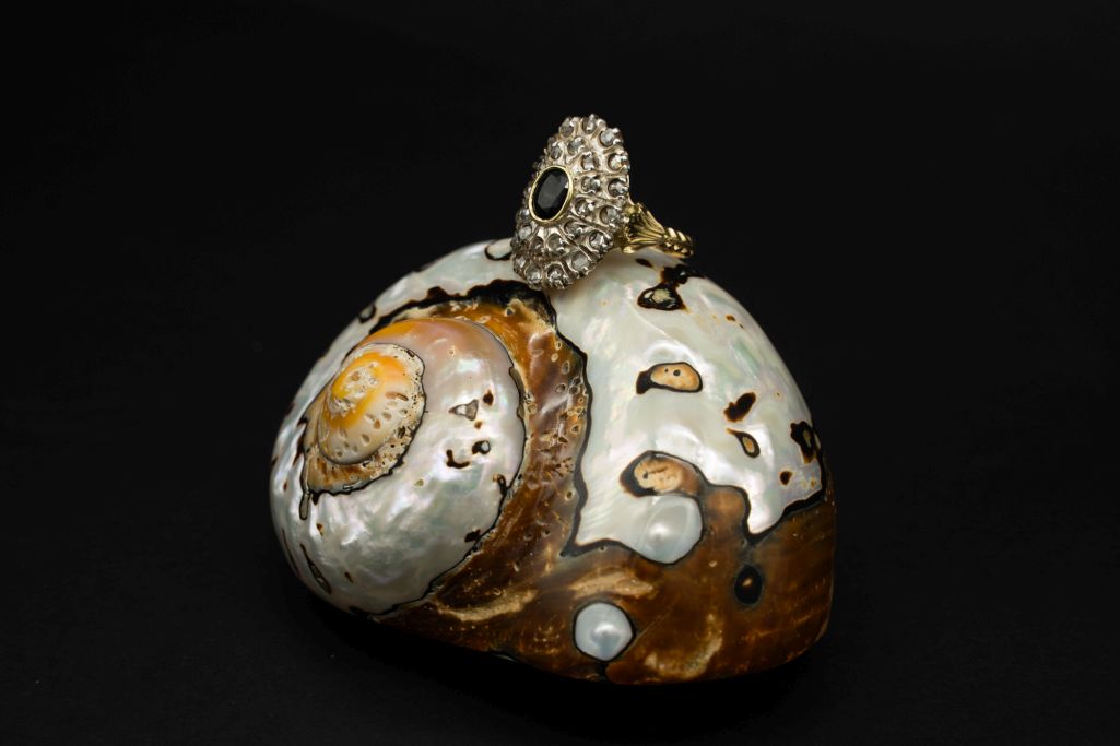 Mevis - anello